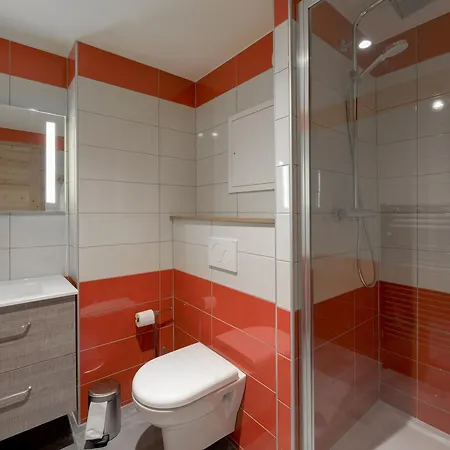 Renove Pres Des Pistes Avec Bien-etre, Animaux Admis - Fr-1-181-1072 Apartment