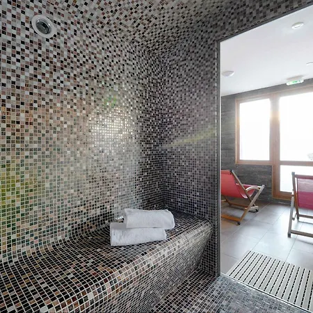 Renove Pres Des Pistes Avec Bien-etre, Animaux Admis - Fr-1-181-1072 * La Plagne