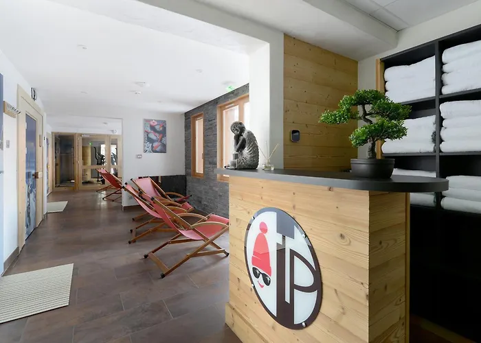 Lägenhet Renove Pres Des Pistes Avec Bien-etre, Animaux Admis - Fr-1-181-1072 *